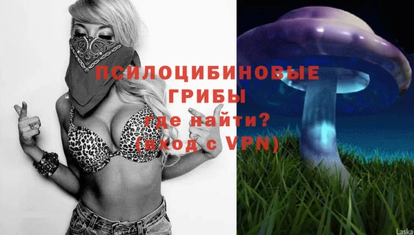прущая мука Алзамай
