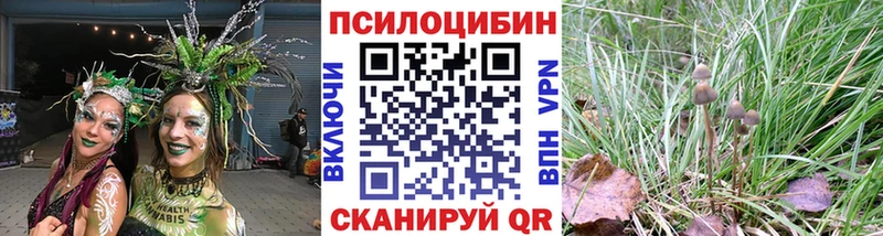 MEGA tor  где можно купить   Салават  Псилоцибиновые грибы MAGIC MUSHROOMS 